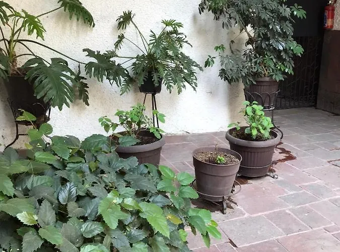 Casa Mesones Hotel Mexico City